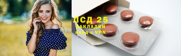 PSILOCYBIN Лагань